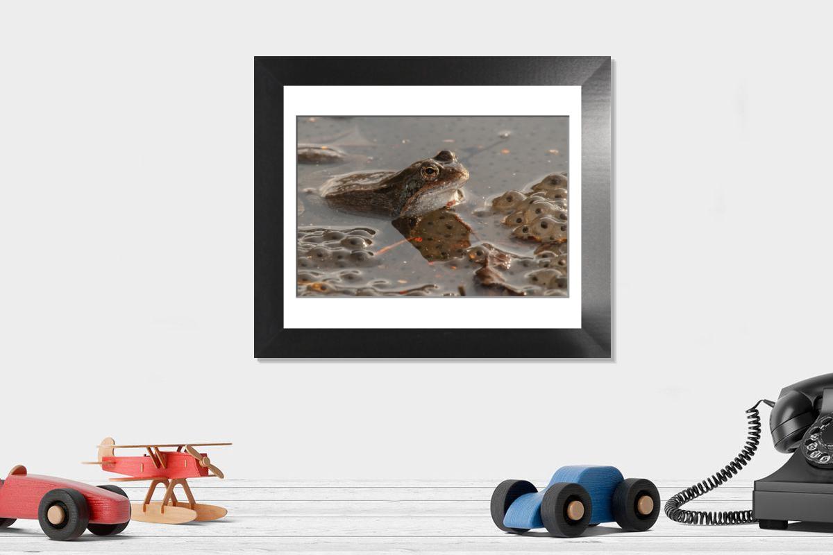 Shown hanging in a room: Modern 12"x10"