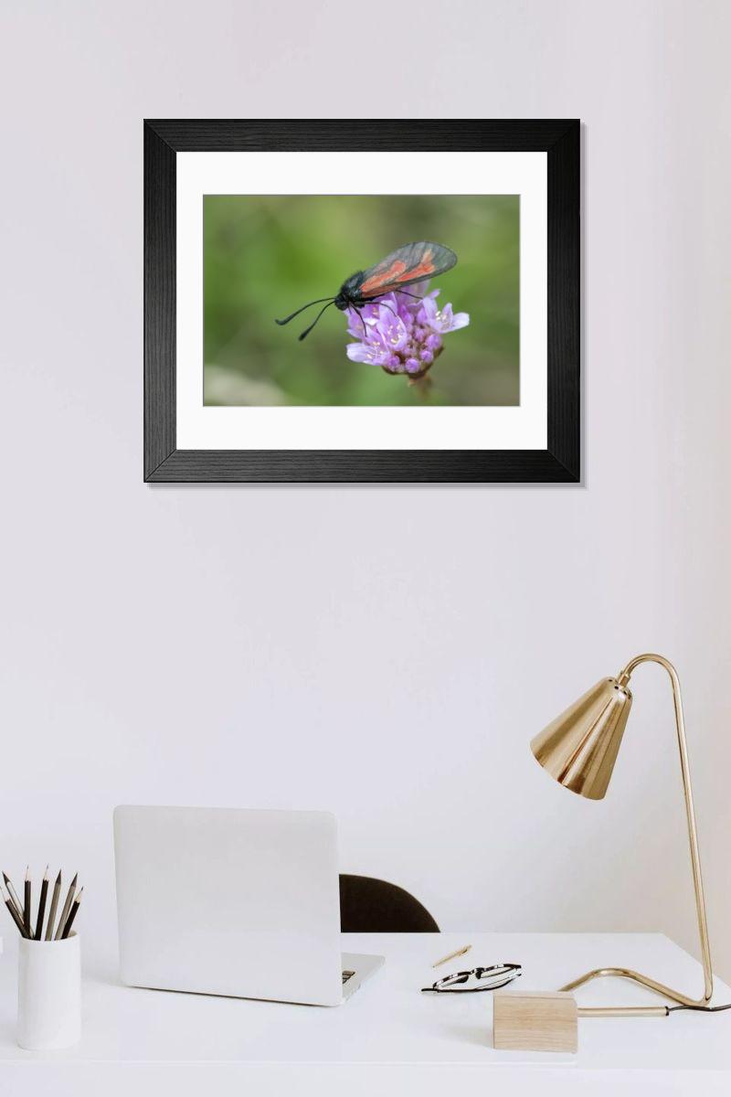 Shown hanging in a room: Modern 14"x12" (36x31cm)