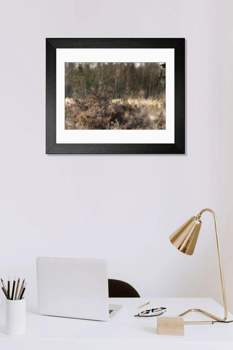 Shown hanging in a room: Modern 14"x12" (36x31cm)