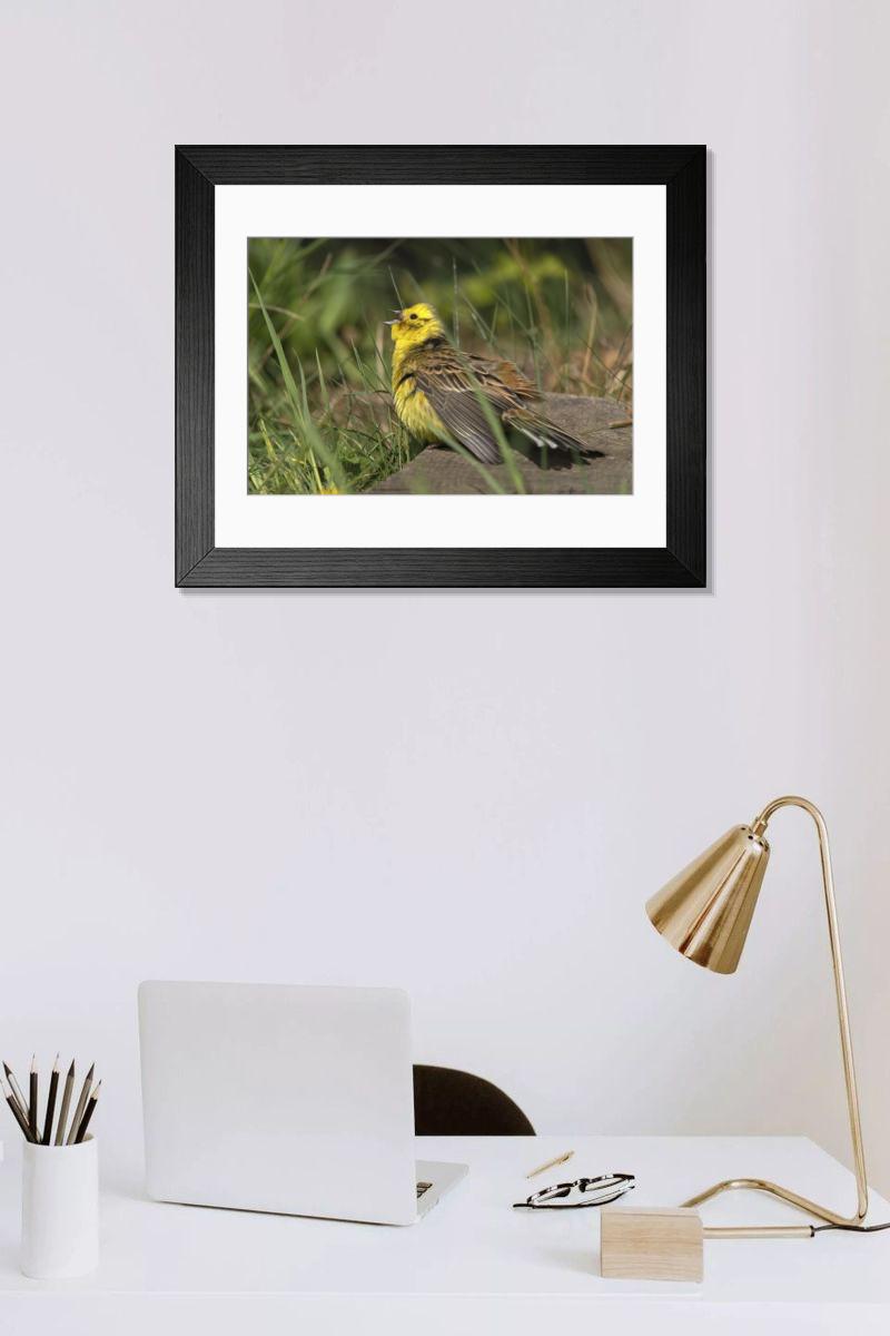 Shown hanging in a room: Modern 14"x12" (36x31cm)