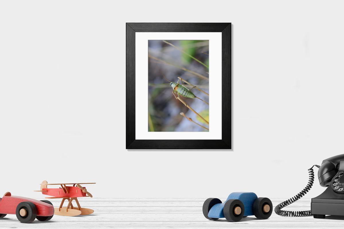 Shown hanging in a room: Modern 14"x12" (36x31cm)