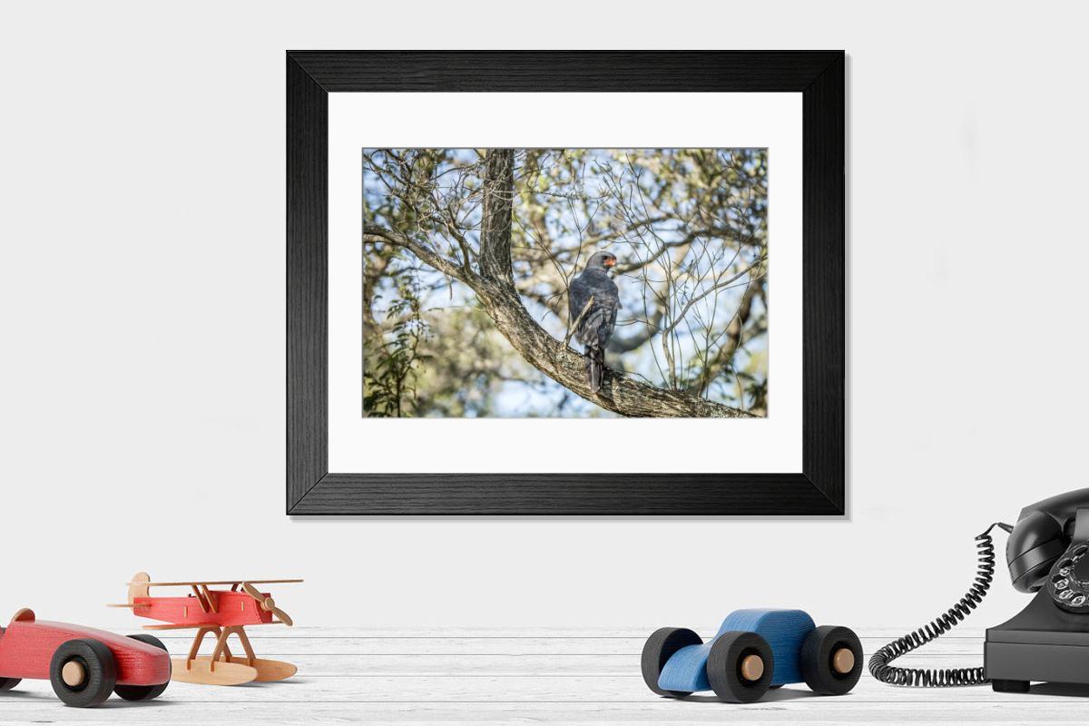 Shown hanging in a room: Modern 14"x12" (36x31cm)