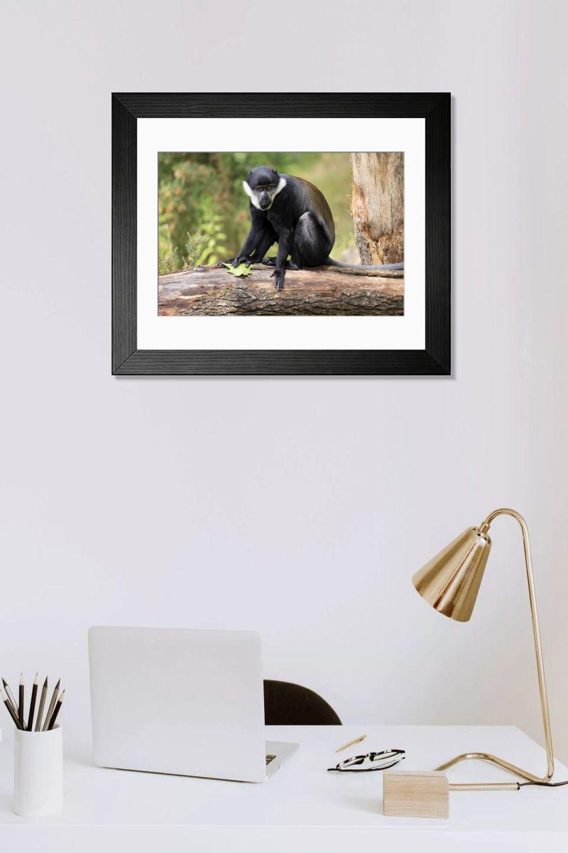 Shown hanging in a room: Modern 14"x12" (36x31cm)