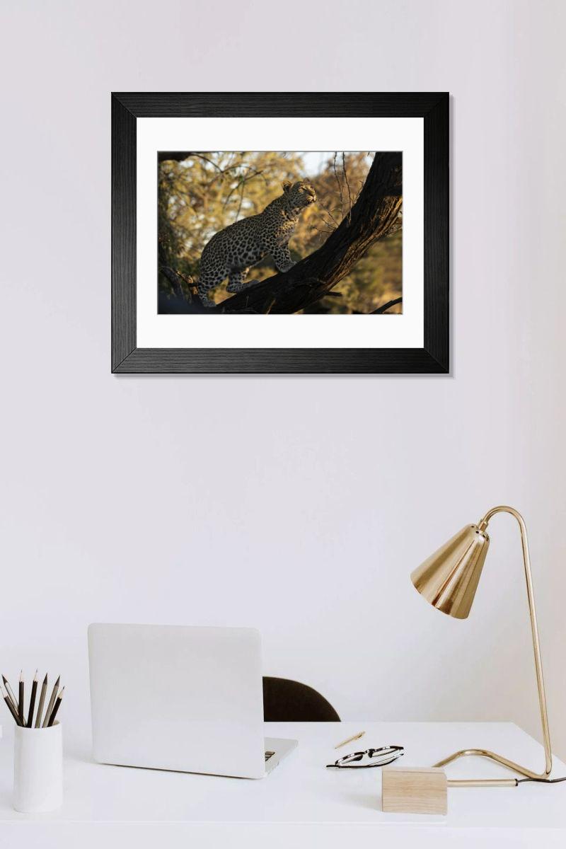 Shown hanging in a room: Modern 14"x12" (36x31cm)