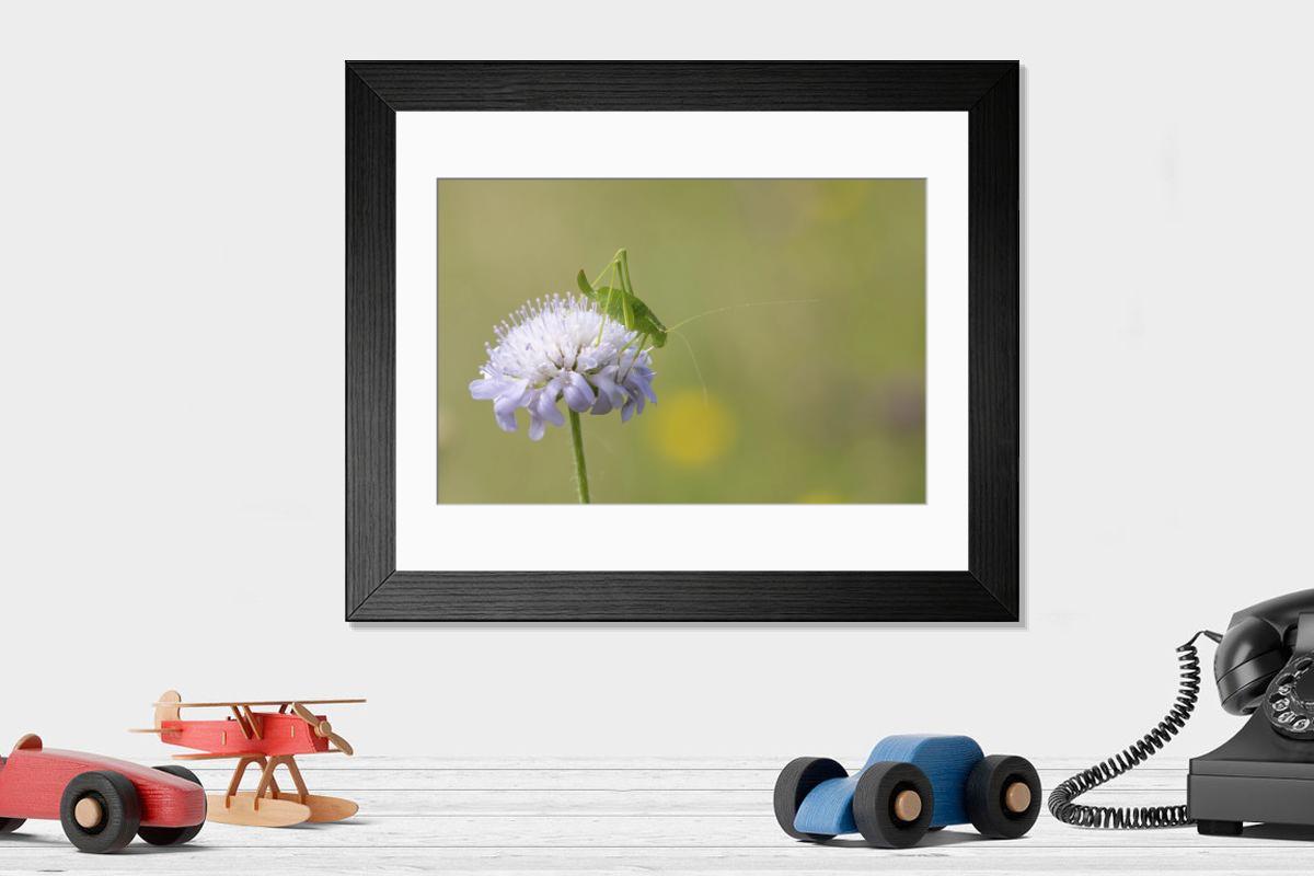 Shown hanging in a room: Modern 14"x12" (36x31cm)