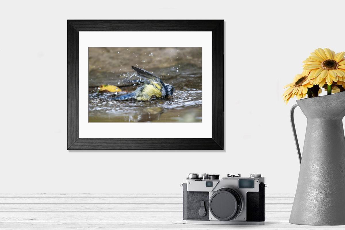 product preview 0