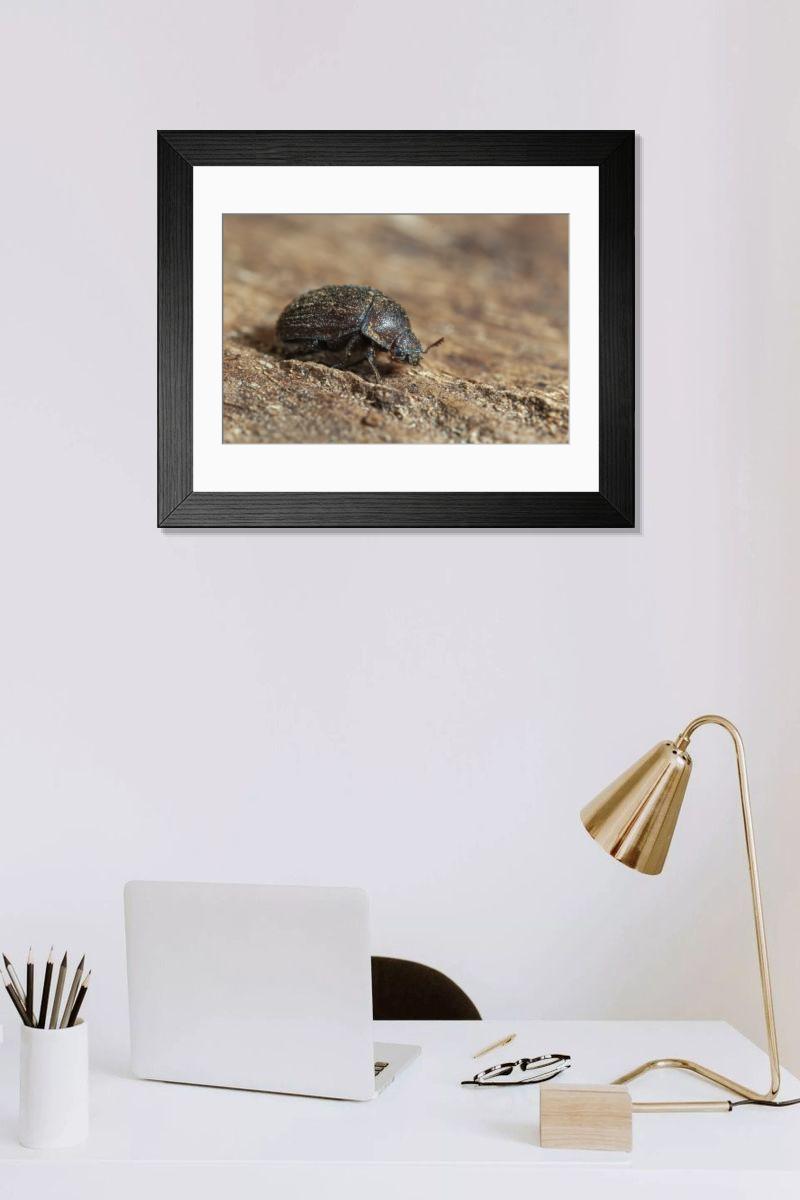 Shown hanging in a room: Modern 14"x12" (36x31cm)