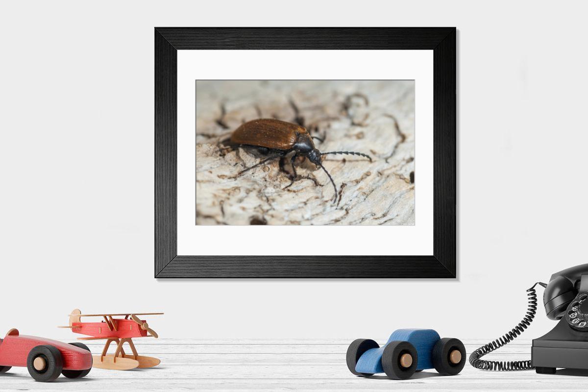 Shown hanging in a room: Modern 14"x12" (36x31cm)