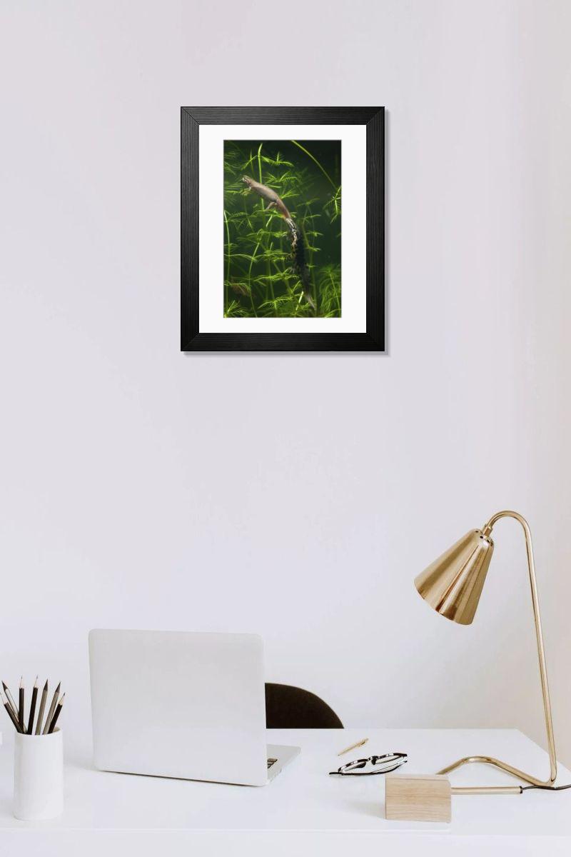 Shown hanging in a room: Modern 14"x12" (36x31cm)