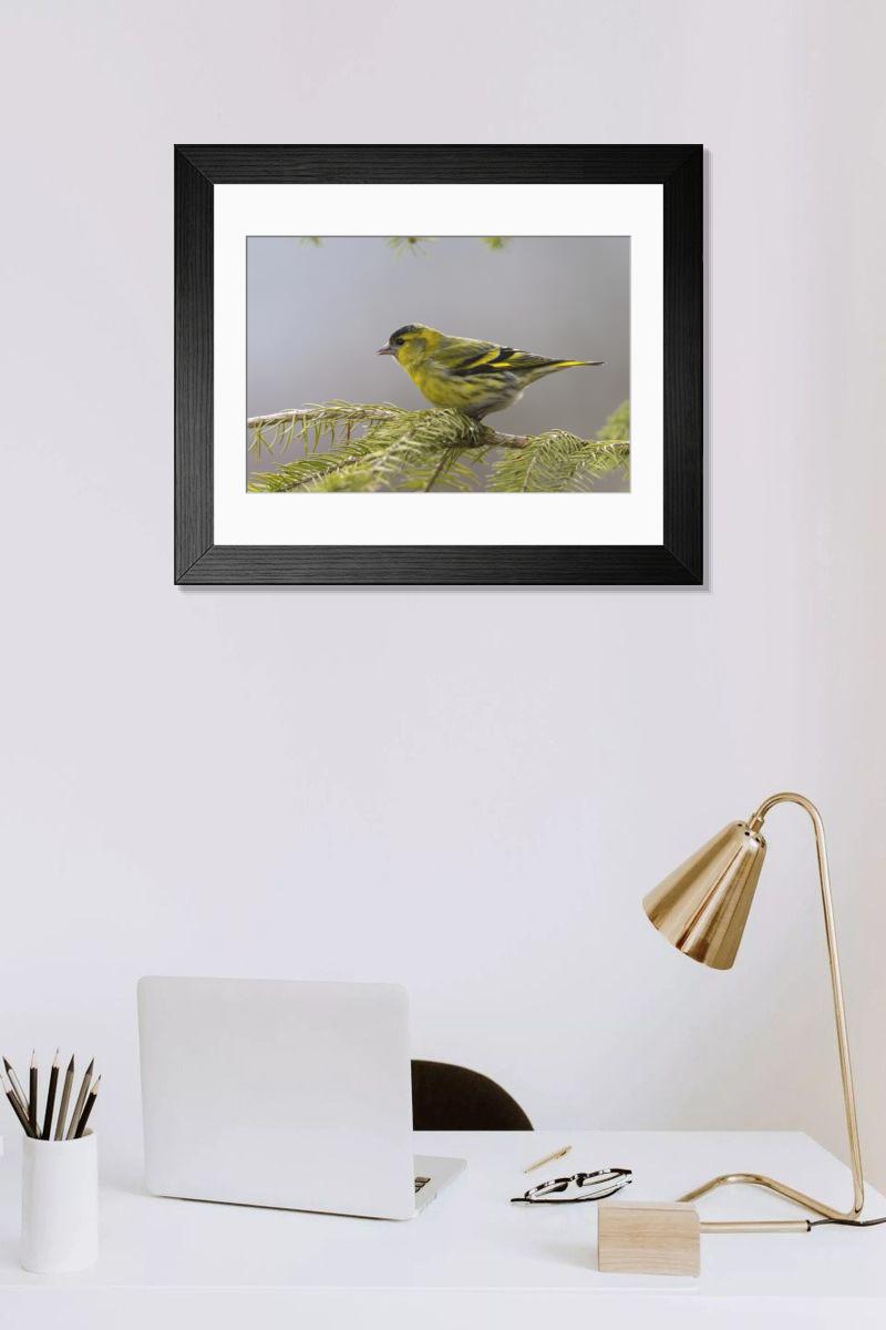 Shown hanging in a room: Modern 14"x12" (36x31cm)