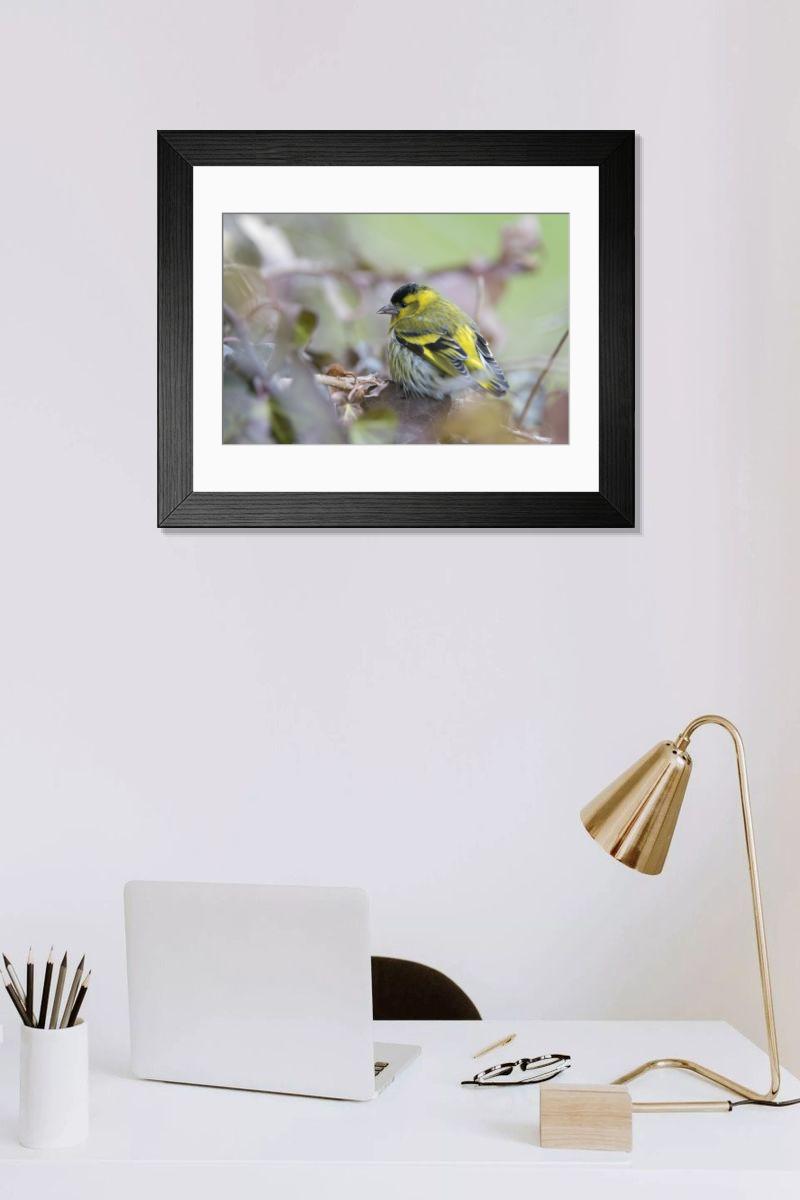 Shown hanging in a room: Modern 14"x12" (36x31cm)
