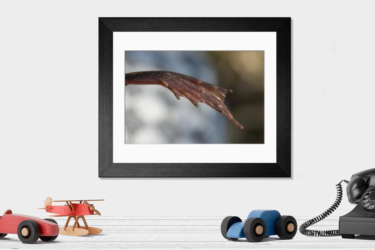 Shown hanging in a room: Modern 14"x12" (36x31cm)