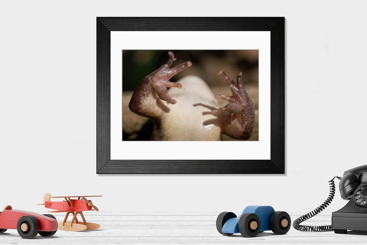 Shown hanging in a room: Modern 14"x12" (36x31cm)