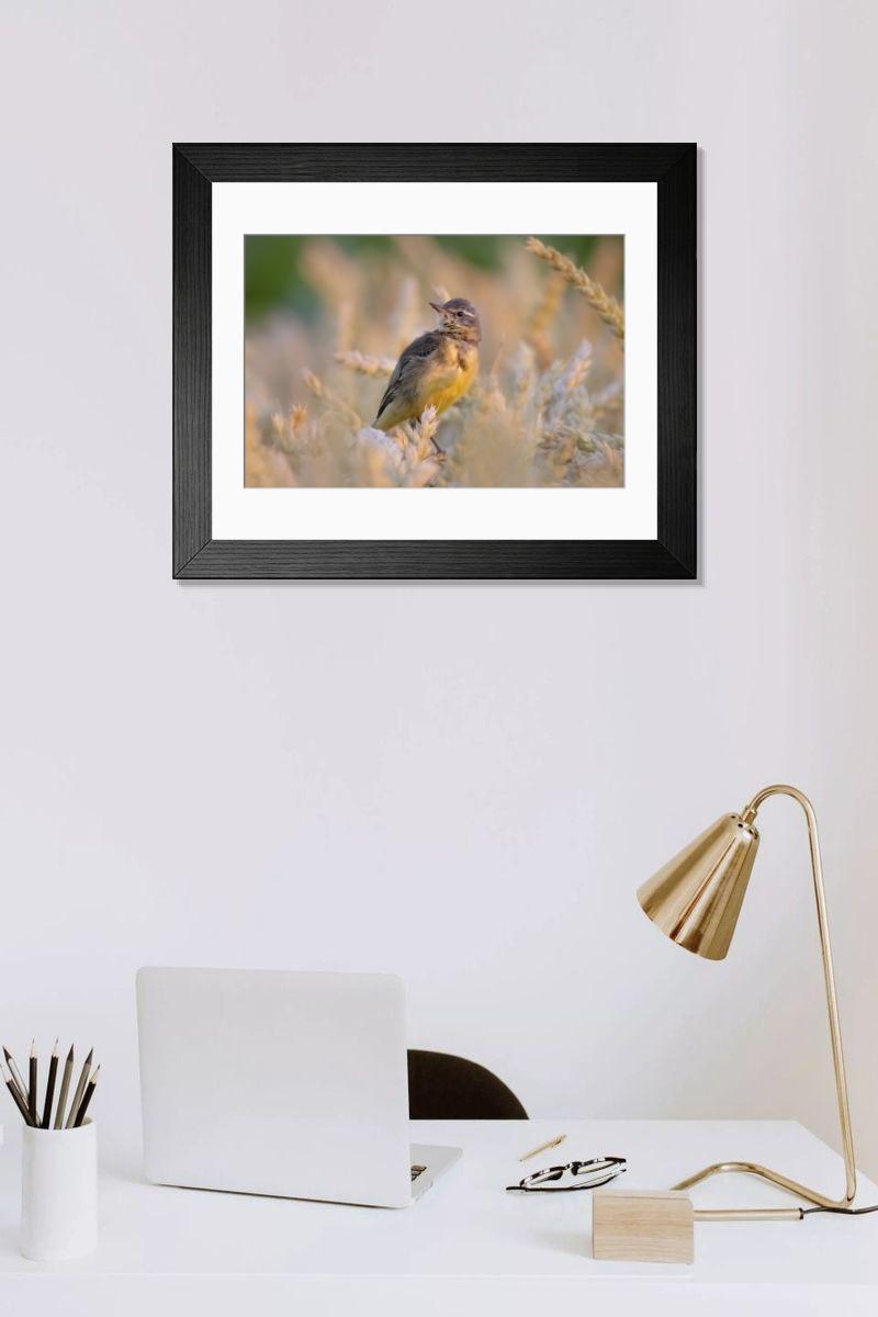 Shown hanging in a room: Modern 14"x12" (36x31cm)