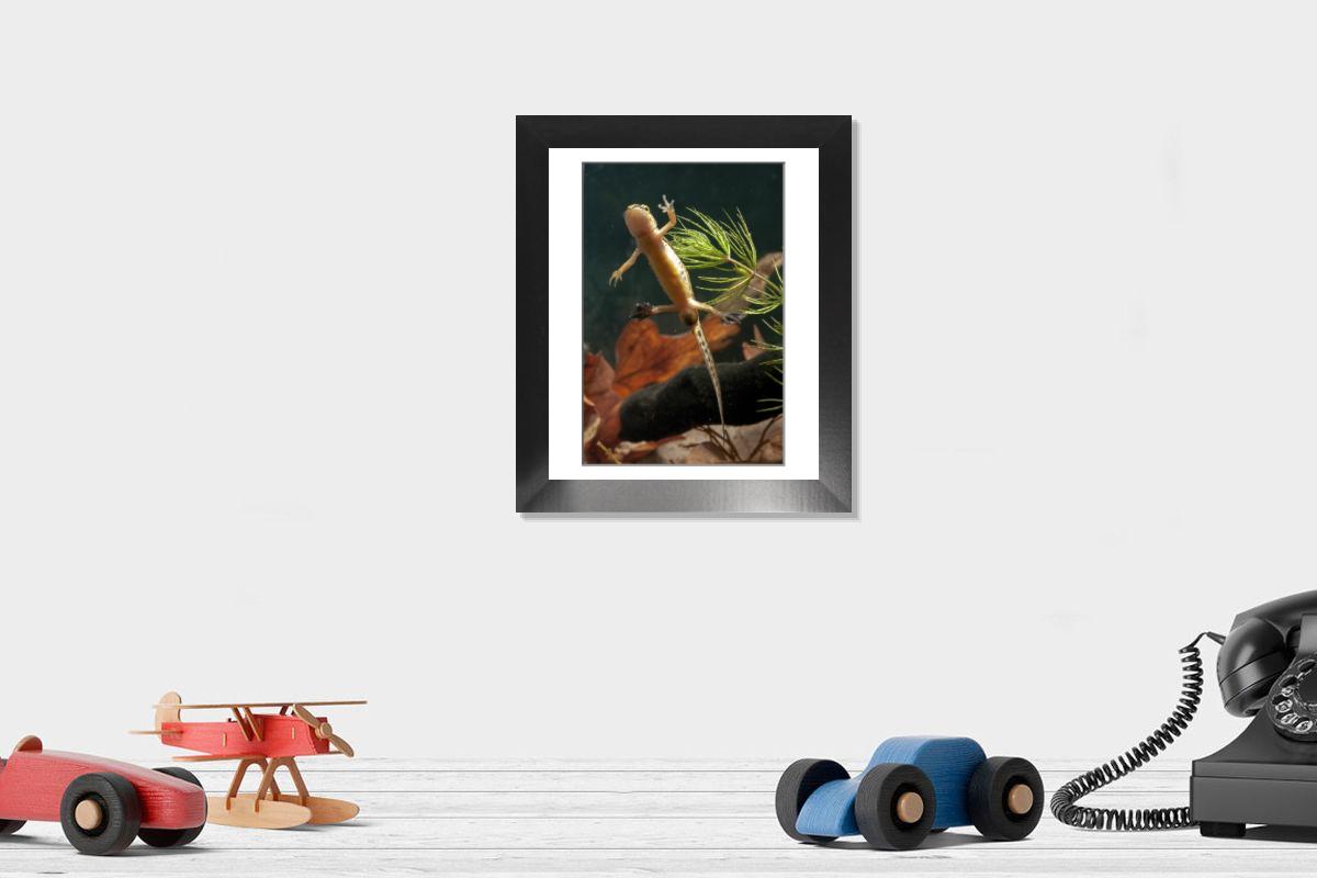 Shown hanging in a room: Modern 12"x10"
