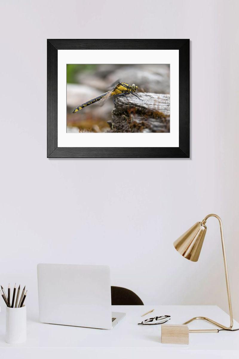 Shown hanging in a room: Modern 14"x12" (36x31cm)