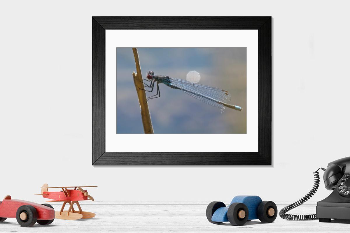 Shown hanging in a room: Modern 14"x12" (36x31cm)