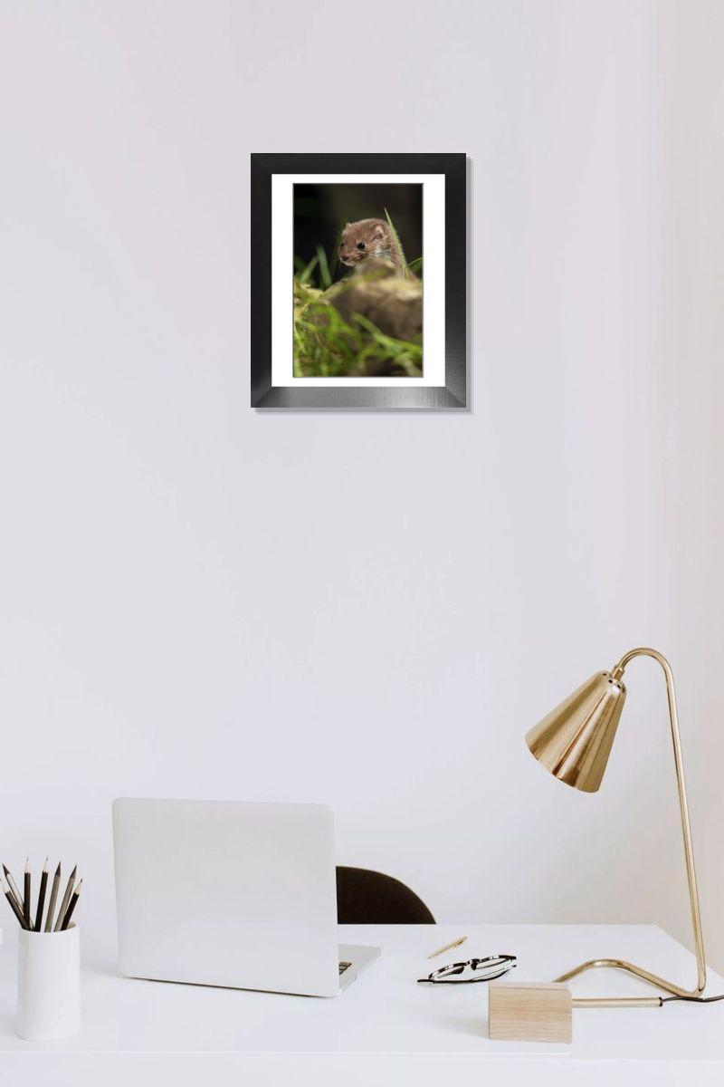 product preview 0