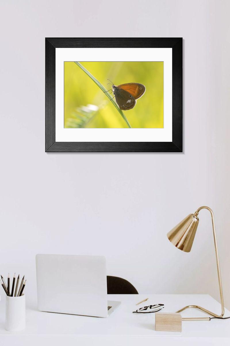 Shown hanging in a room: Modern 14"x12" (36x31cm)