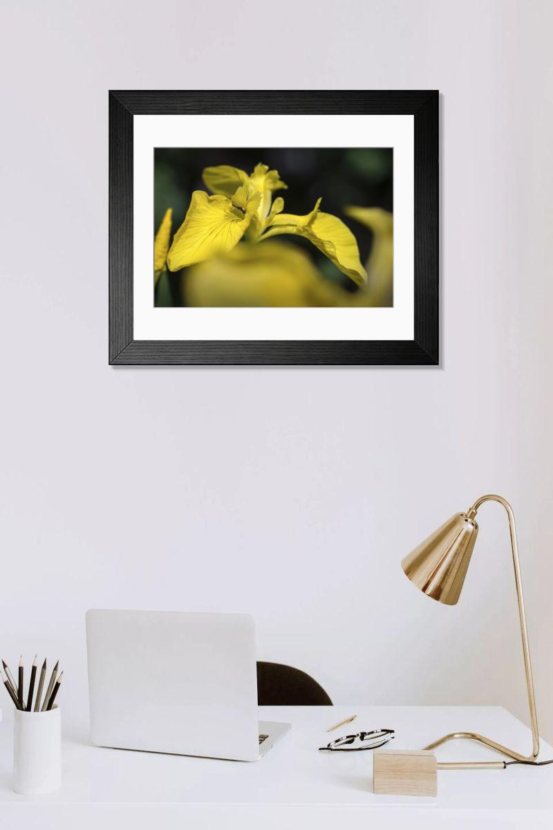 Shown hanging in a room: Modern 14"x12" (36x31cm)