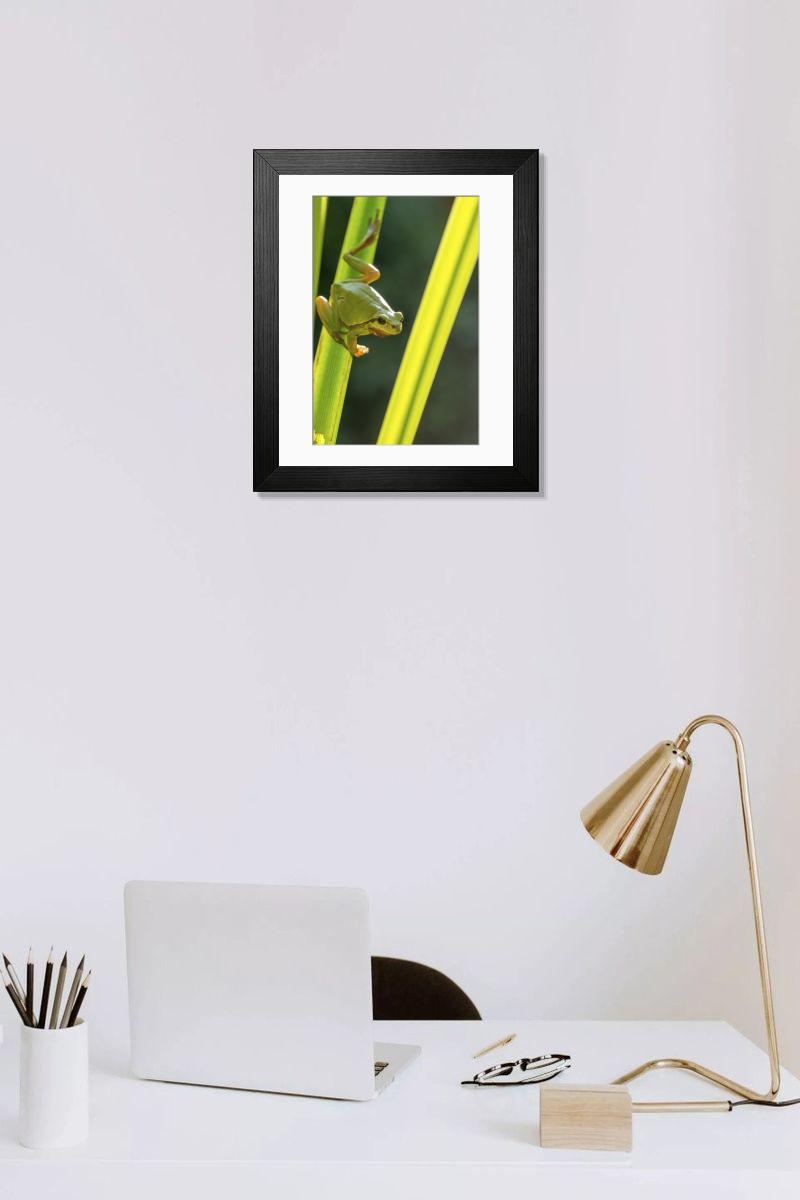 Shown hanging in a room: Modern 14"x12" (36x31cm)