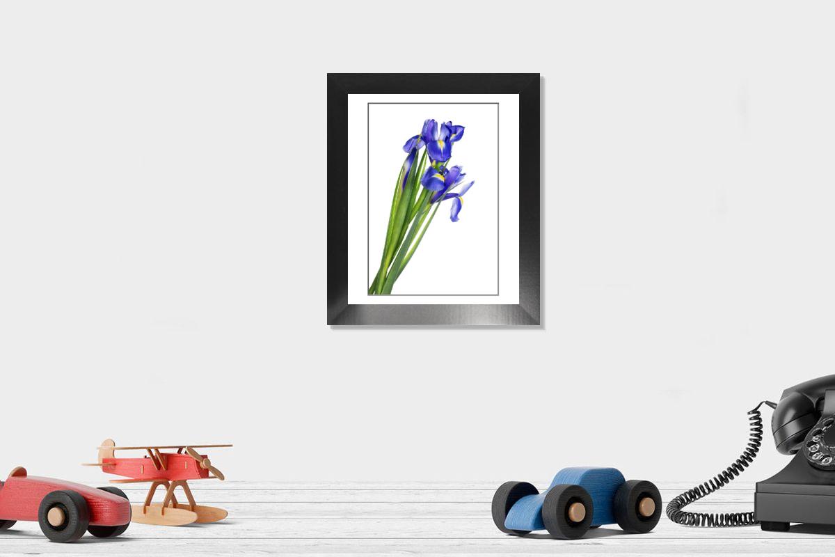 product preview 0