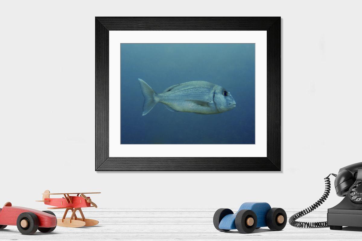Shown hanging in a room: Modern 14"x12" (36x31cm)