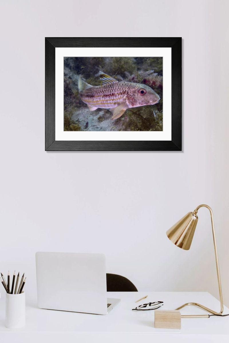 Shown hanging in a room: Modern 14"x12" (36x31cm)