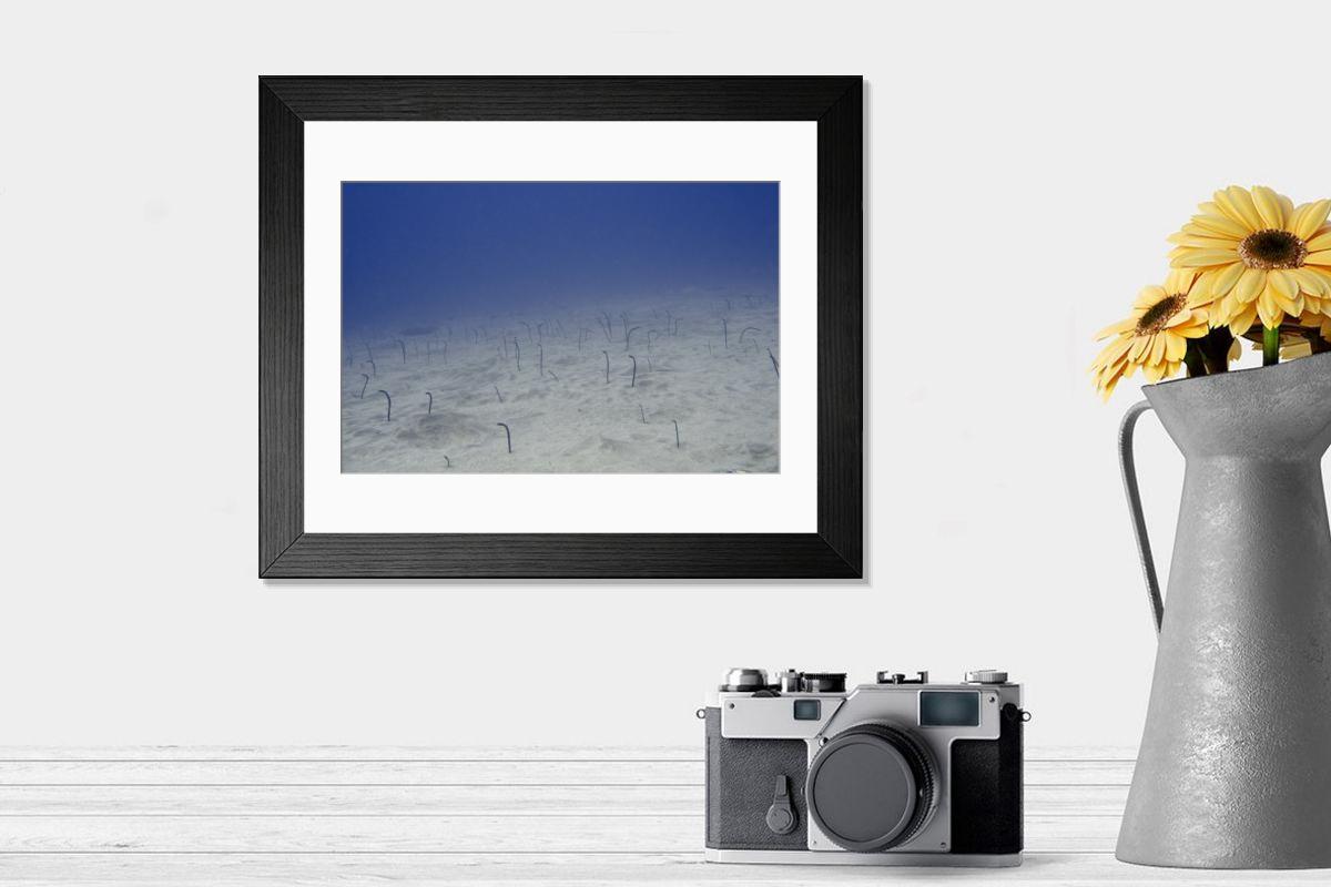 Shown hanging in a room: Modern 14"x12" (36x31cm)