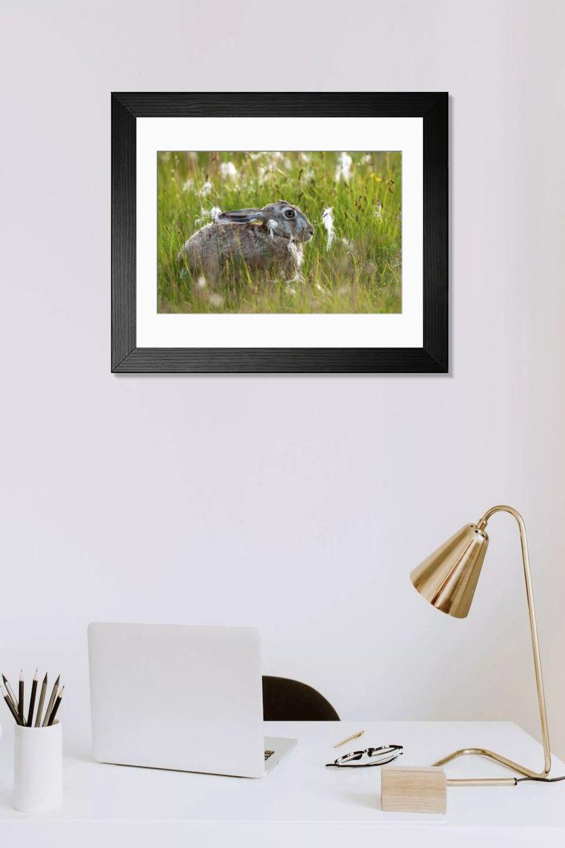 Shown hanging in a room: Modern 14"x12" (36x31cm)