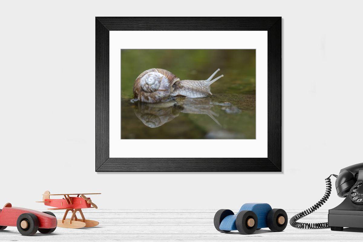 Shown hanging in a room: Modern 14"x12" (36x31cm)