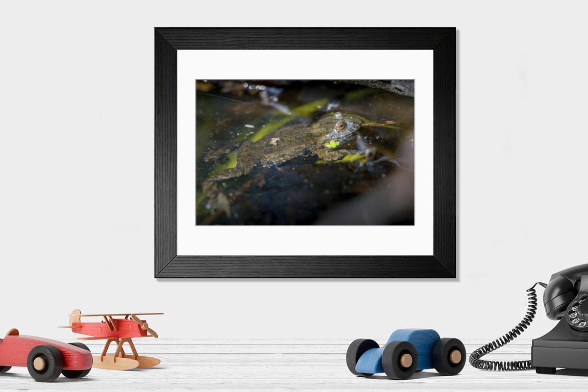 Shown hanging in a room: Modern 14"x12" (36x31cm)
