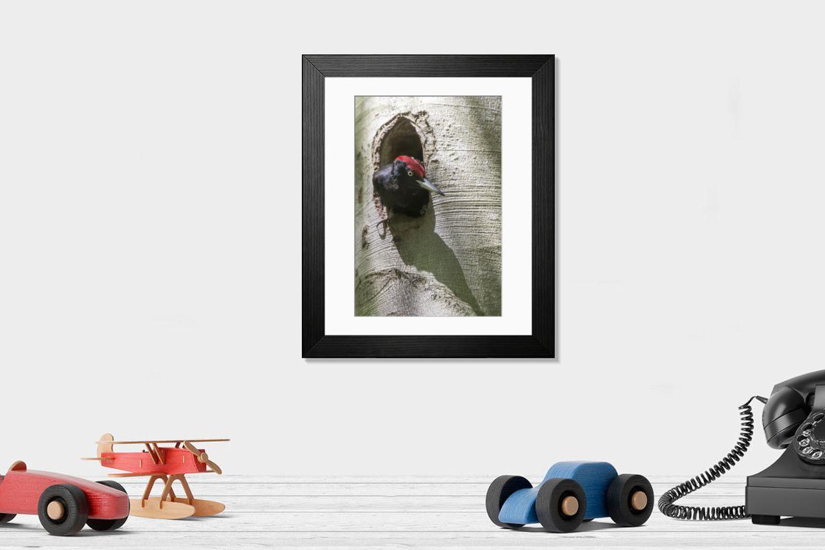 product preview 0