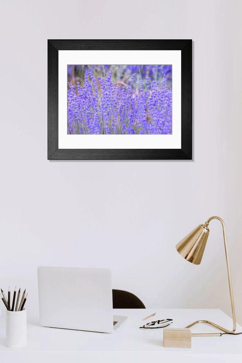 Shown hanging in a room: Modern 14"x12" (36x31cm)
