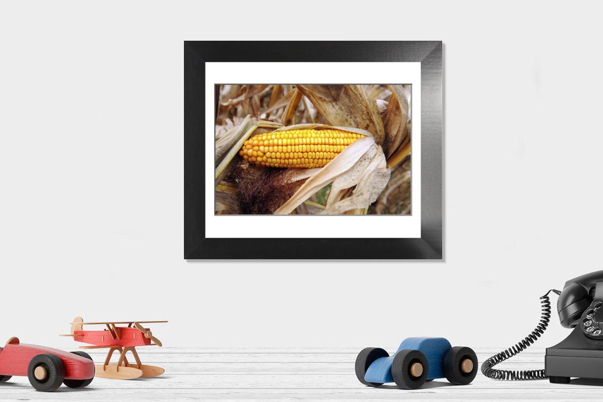 Shown hanging in a room: Modern 12"x10"