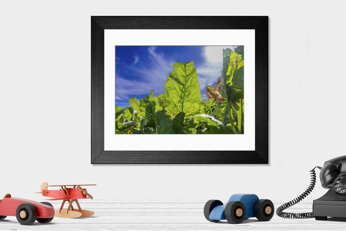 Shown hanging in a room: Modern 14"x12" (36x31cm)