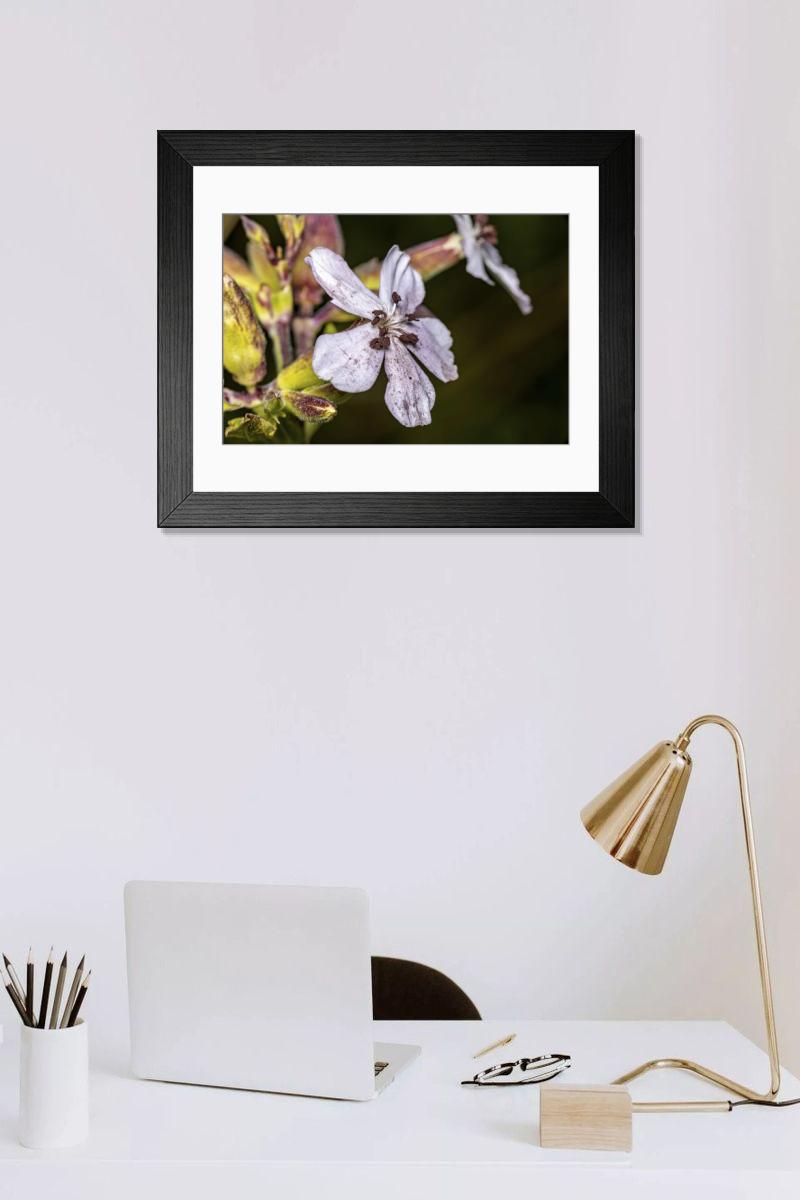 Shown hanging in a room: Modern 14"x12" (36x31cm)