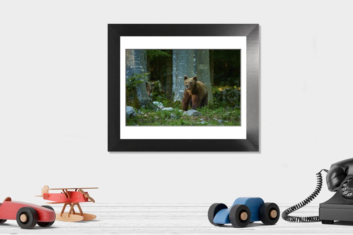 product preview 0
