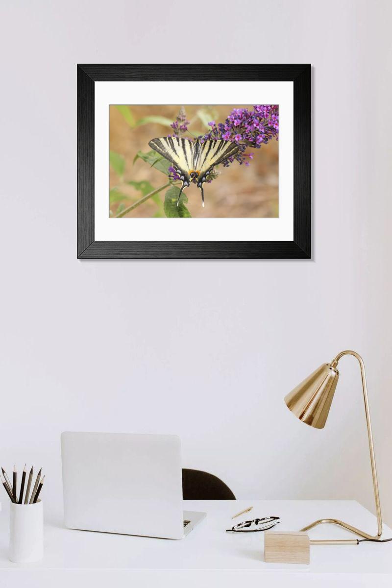 Shown hanging in a room: Modern 14"x12" (36x31cm)