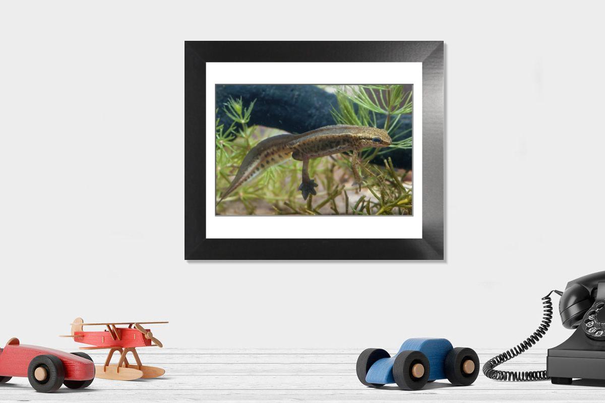 Shown hanging in a room: Modern 12"x10"