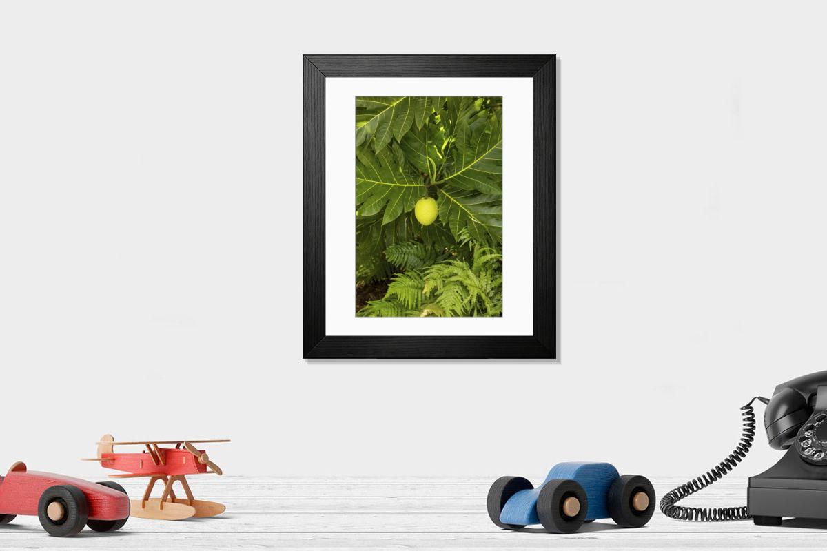 product preview 0