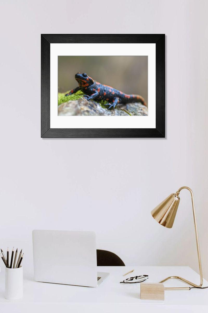 Shown hanging in a room: Modern 14"x12" (36x31cm)