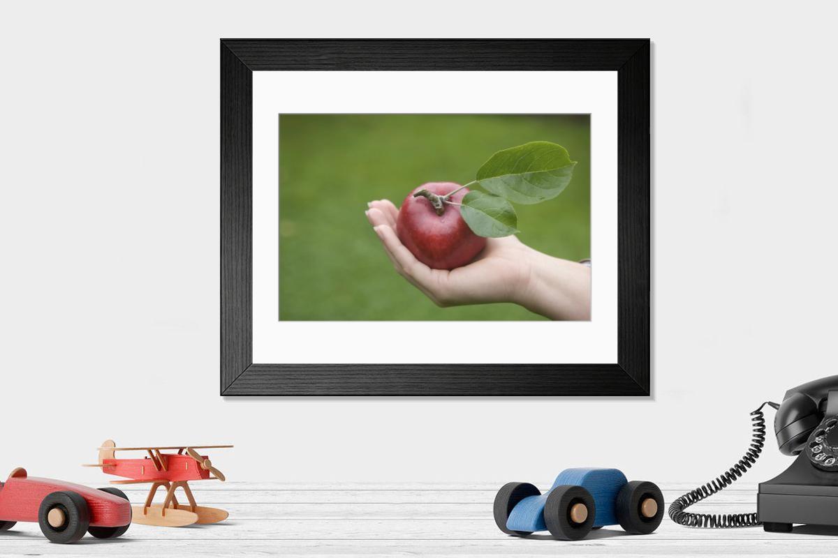 product preview 0