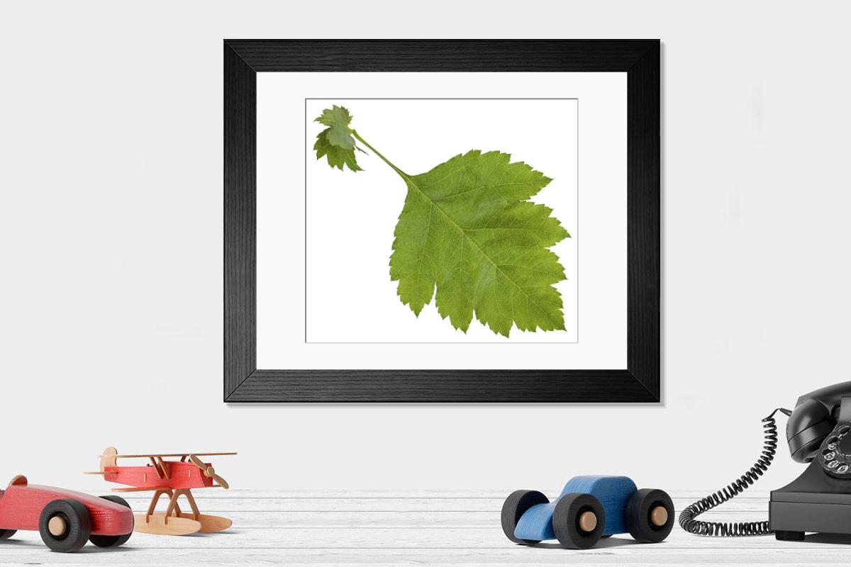 Shown hanging in a room: Modern 14"x12" (36x31cm)