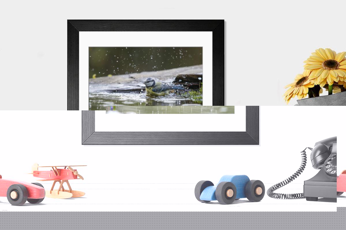 product preview 0
