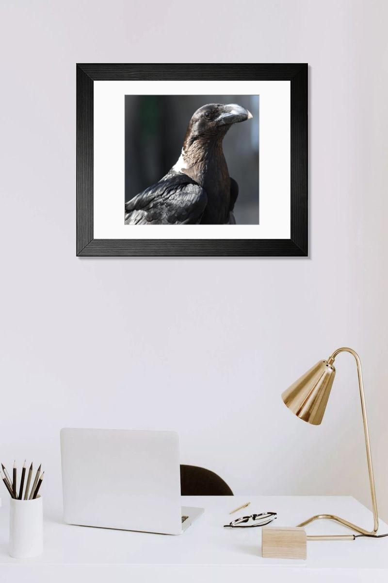 Shown hanging in a room: Modern 14"x12" (36x31cm)