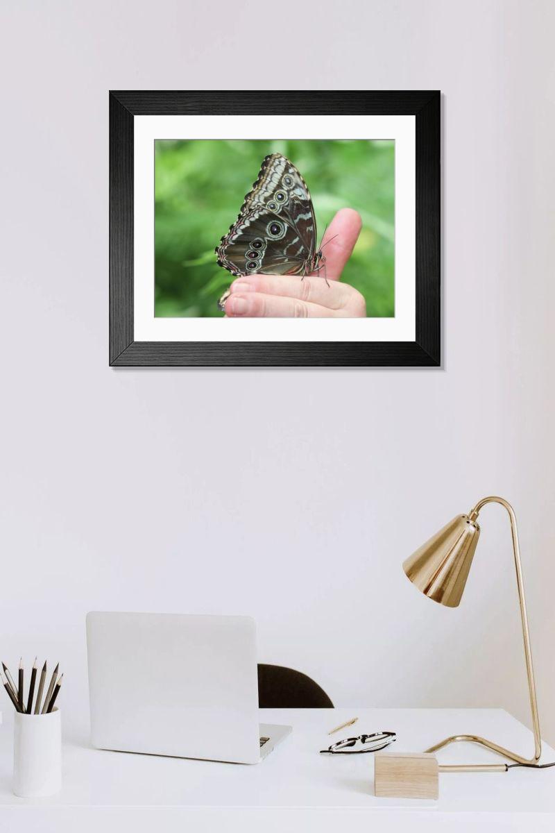 product preview 0