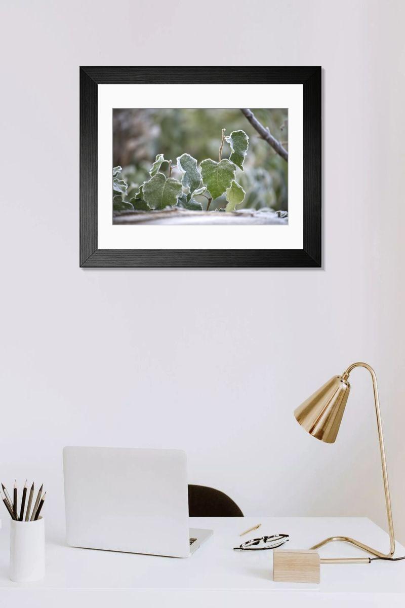 Shown hanging in a room: Modern 14"x12" (36x31cm)