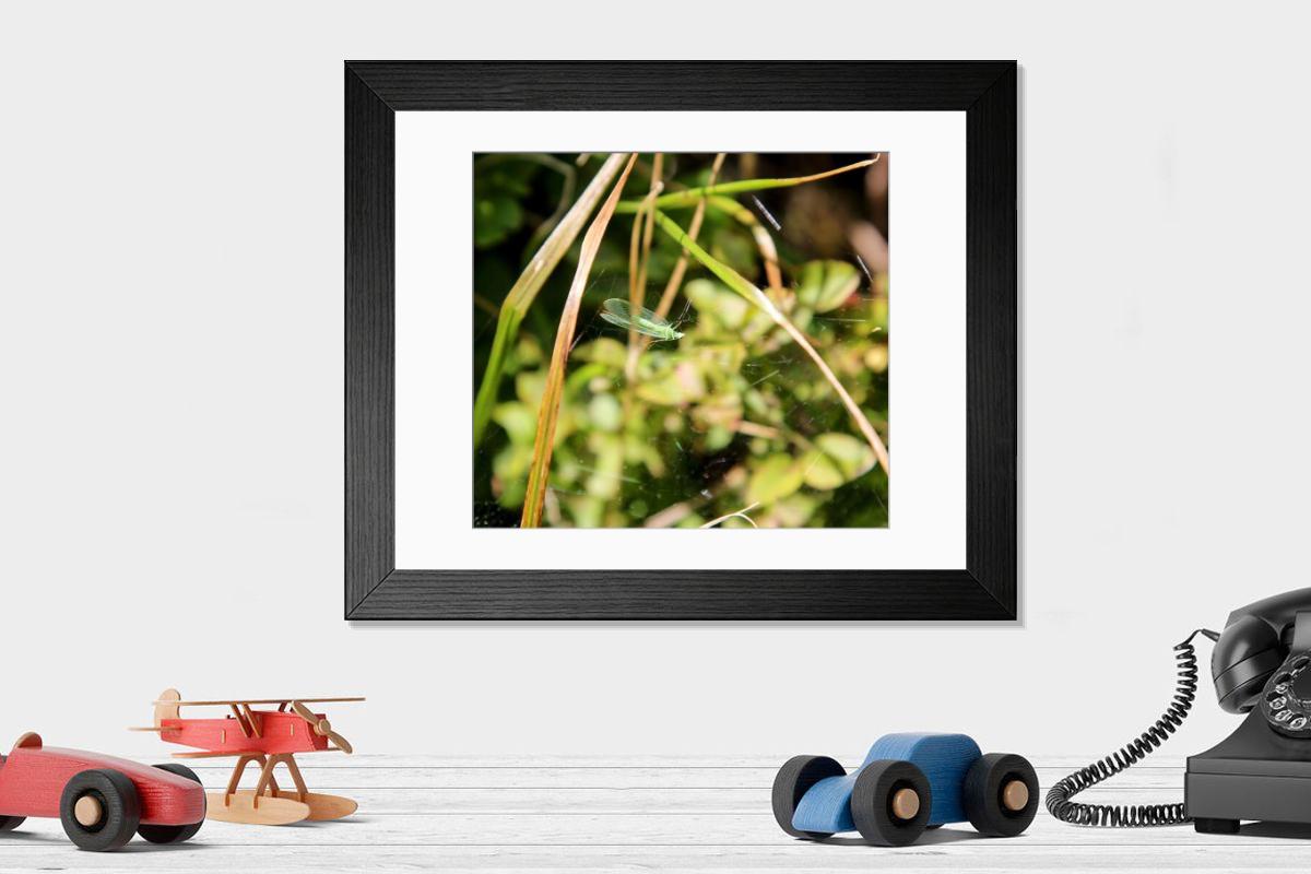 Shown hanging in a room: Modern 14"x12" (36x31cm)