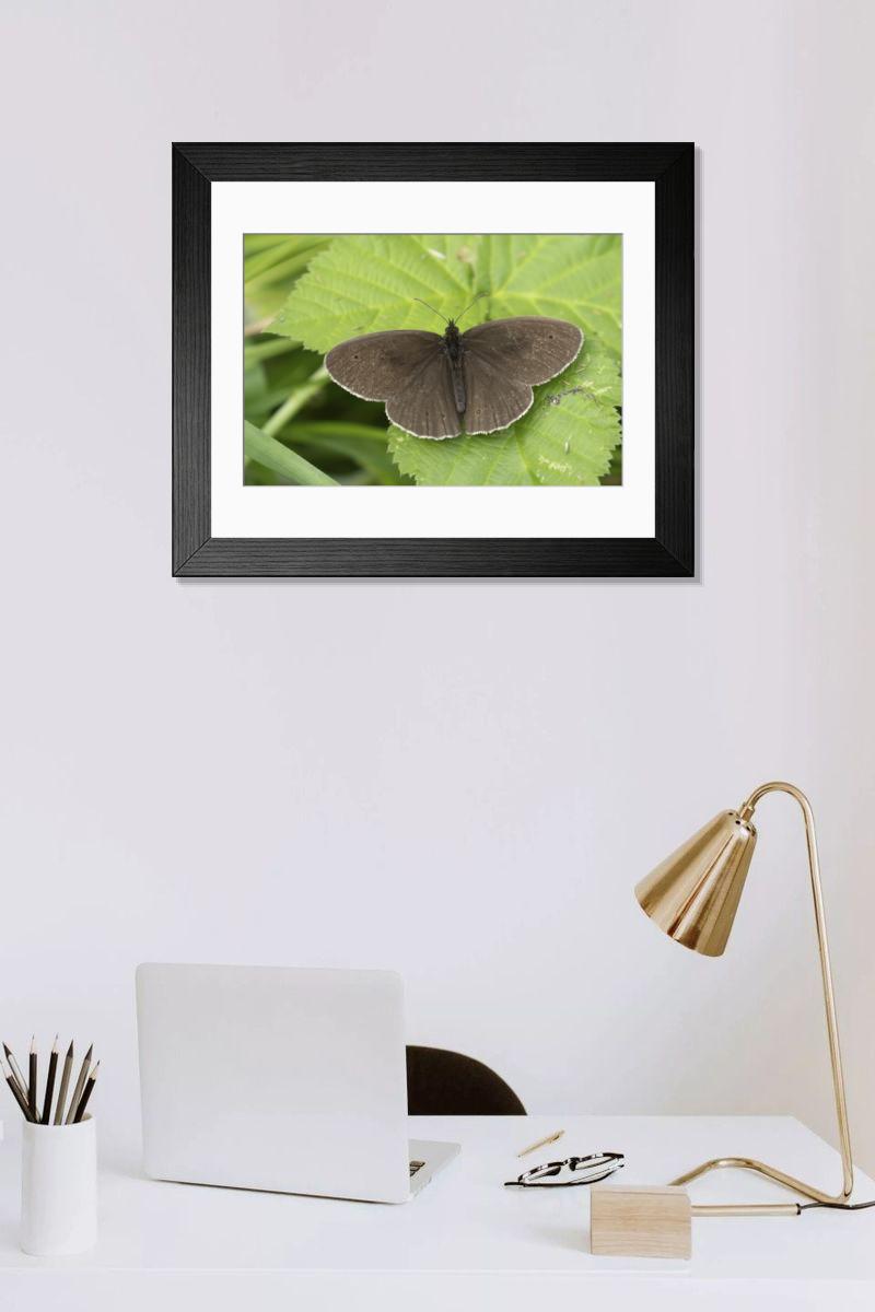 Shown hanging in a room: Modern 14"x12" (36x31cm)